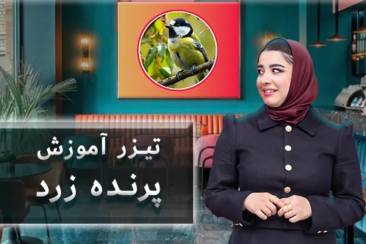 تیزر آموزش پرنده زرد